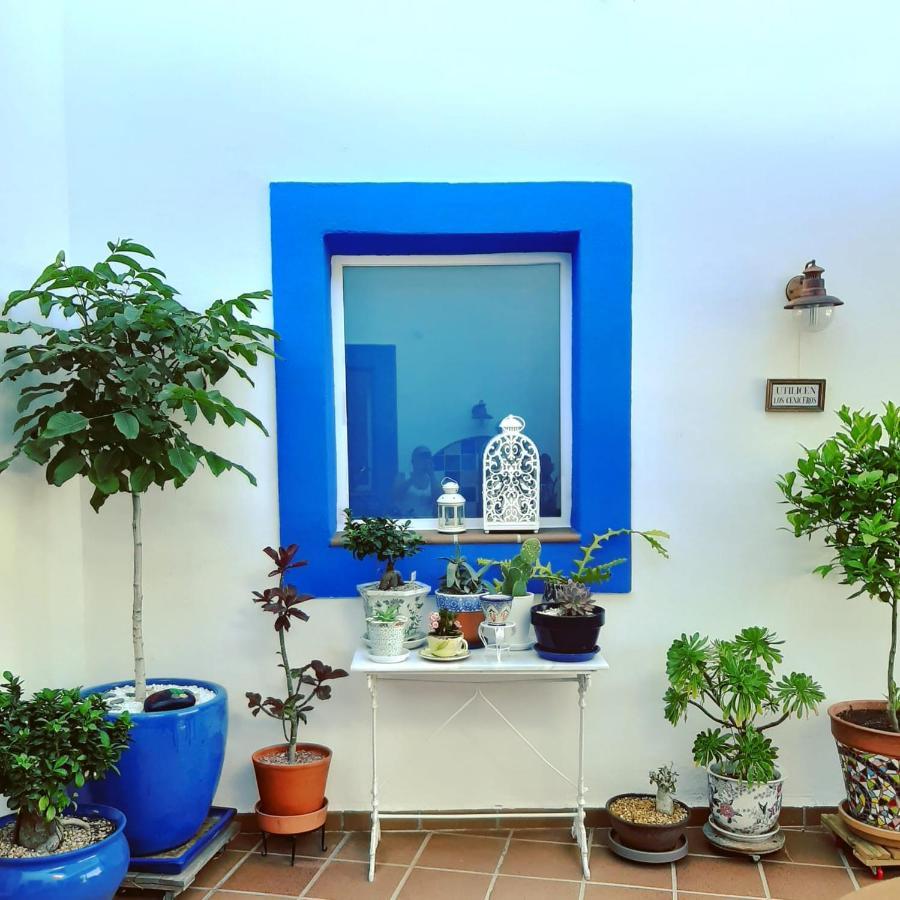 مبيت وإفطار سان خوسيه Casa Agua Marina المظهر الخارجي الصورة